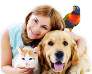 Pet Sitting Services in Scottsdale